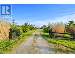 515 Sandy Bay Road, Haldimand, ON N1A2W6 Photo 47