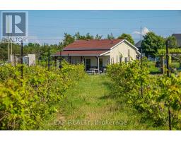 3609 County Road 8, Prince Edward County, ON K0K2T0 Photo 10