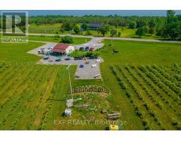 3609 County Road 8, Prince Edward County, ON K0K2T0 Photo 15