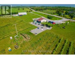 3609 County Road 8, Prince Edward County, ON K0K2T0 Photo 16