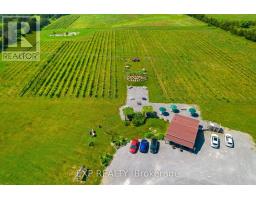 3609 County Road 8, Prince Edward County, ON K0K2T0 Photo 18
