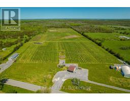 3609 County Road 8, Prince Edward County, ON K0K2T0 Photo 20