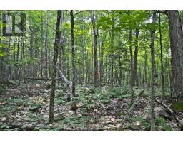 Part 1 - 0 Lyndsey Lane, Mckellar, ON P2A0B5 Photo 17