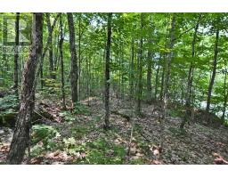 Part 2 - 0 Lyndsey Lane, Mckellar, ON P2A0B5 Photo 14