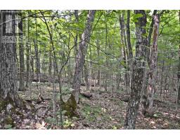Part 2 - 0 Lyndsey Lane, Mckellar, ON P2A0B5 Photo 17