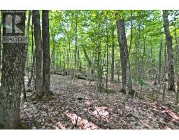 Part 2 - 0 Lyndsey Lane, Mckellar, ON P2A0B5 Photo 18