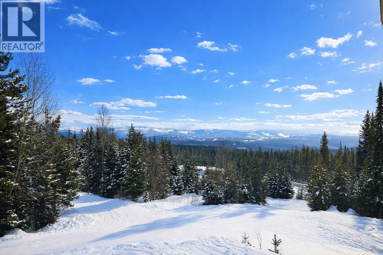 #B 4940 Snowpines Road - 5