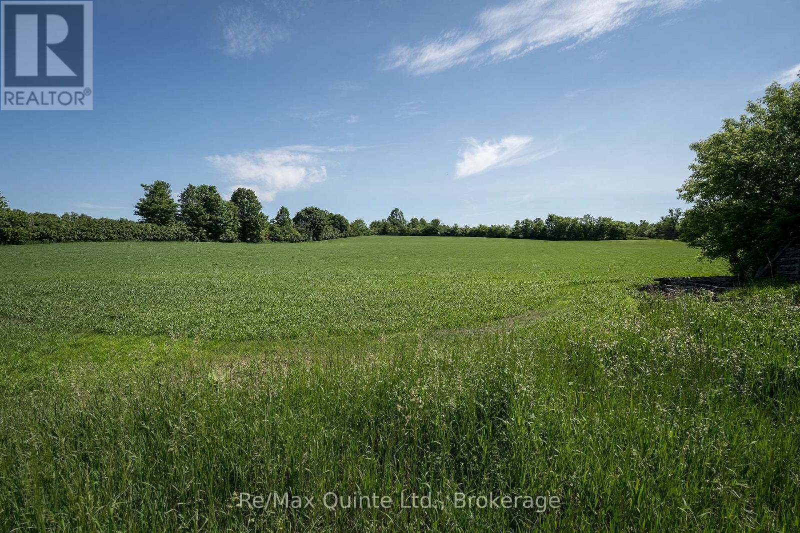 10 DECLAIR ROAD - 25