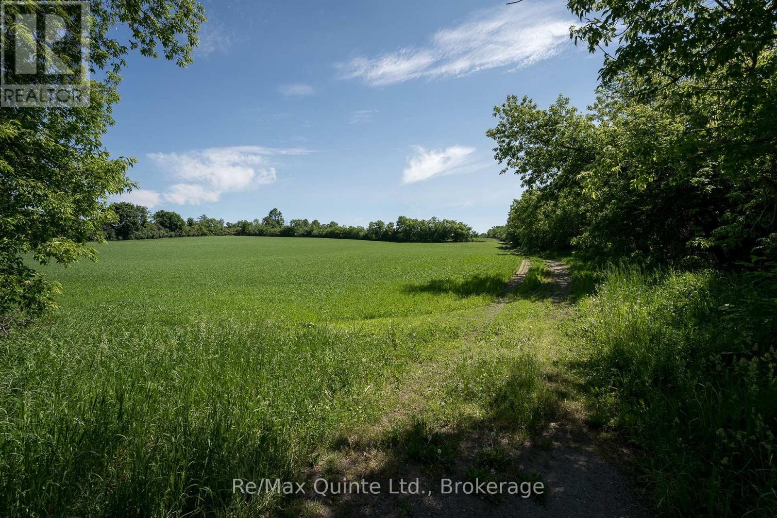 10 DECLAIR ROAD - 26