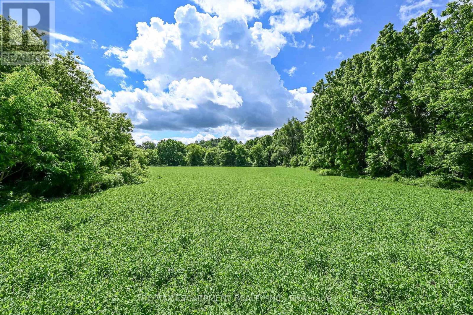 807362 OXFORD 29 ROAD - 27