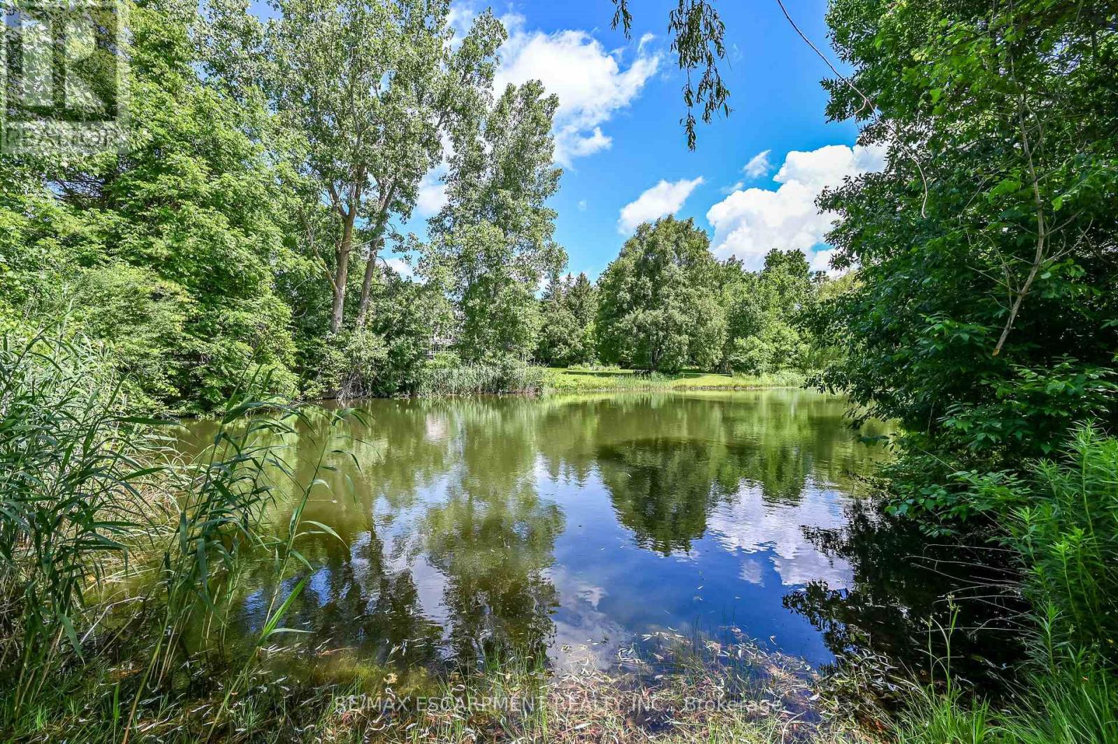 807362 OXFORD 29 ROAD - 30