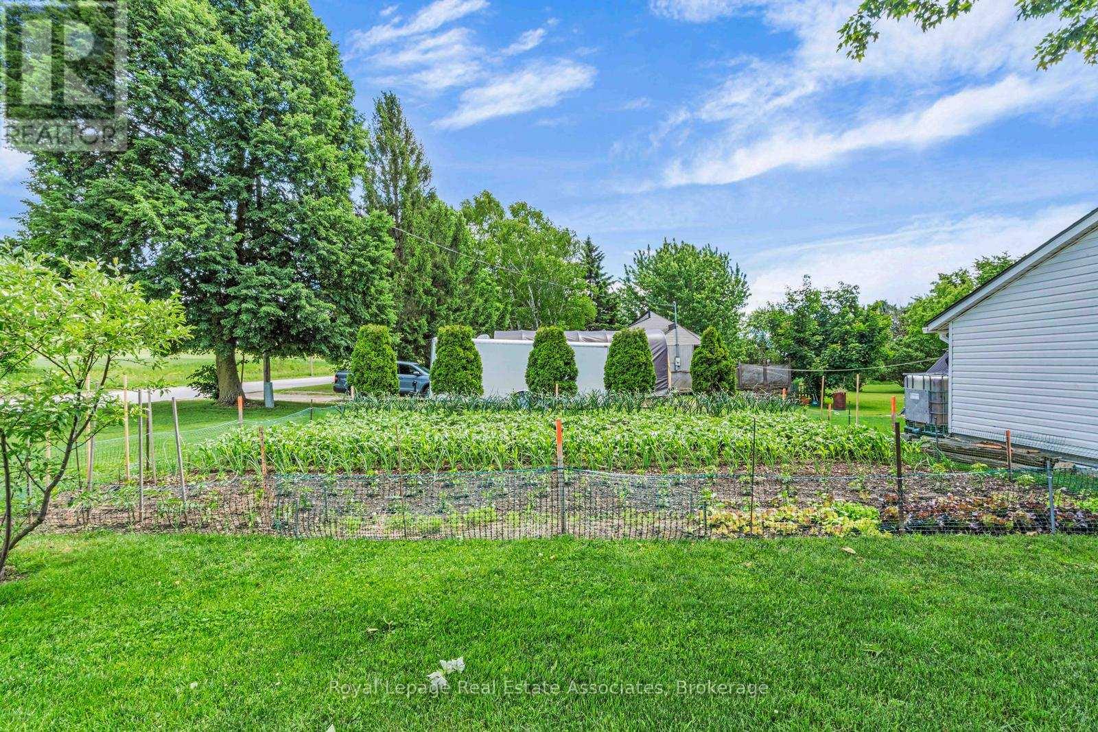 117 HELENA STREET - 37