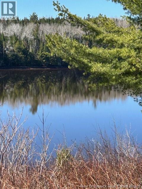840 Bass River Point Road - 11