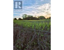 1319 Windham Road 9 Road, Norfolk, ON N0E2A0 Photo 19