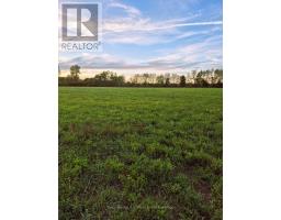 1319 Windham Road 9 Road, Norfolk, ON N0E2A0 Photo 21