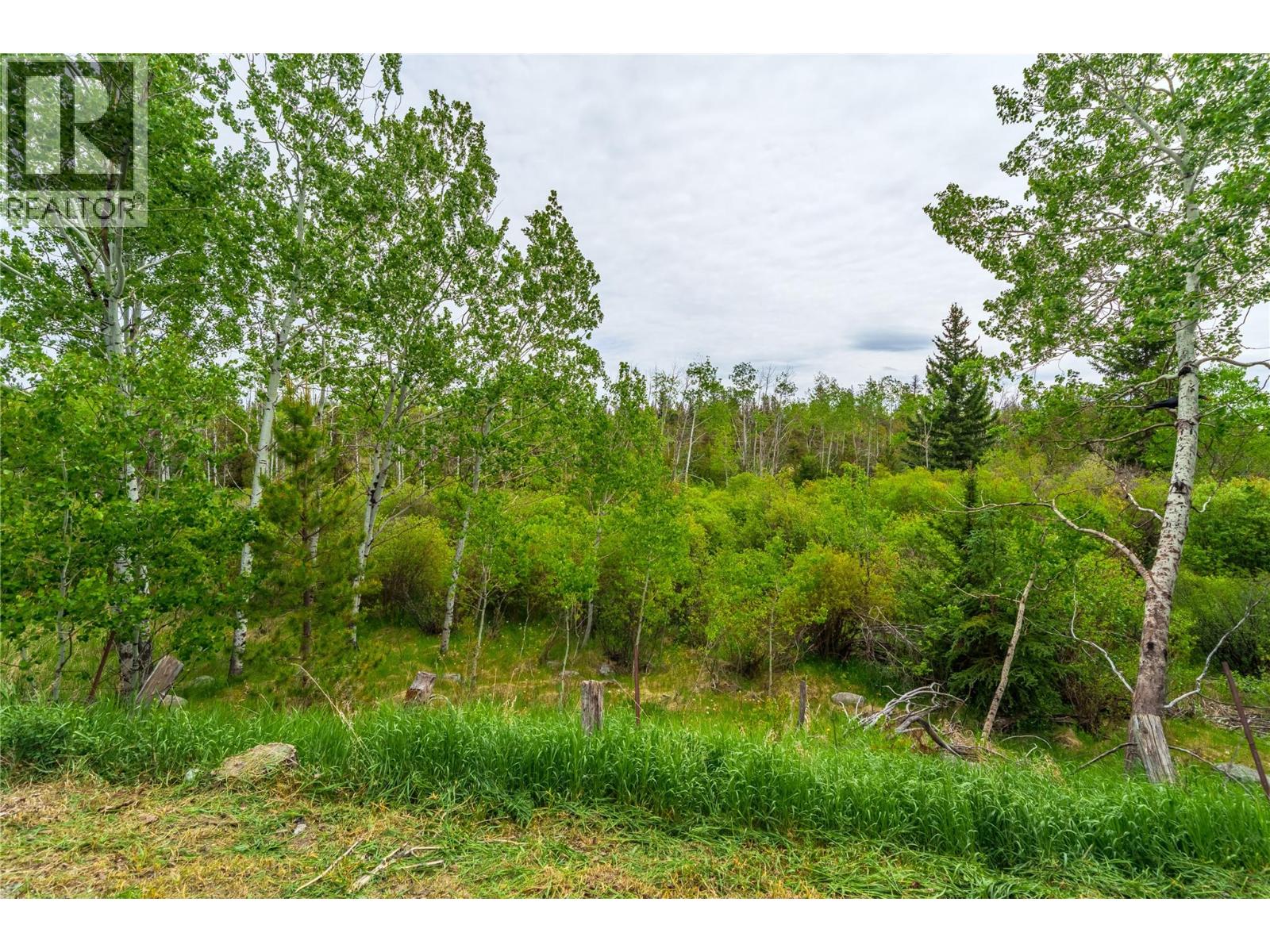 1912 Chasm Road - 17