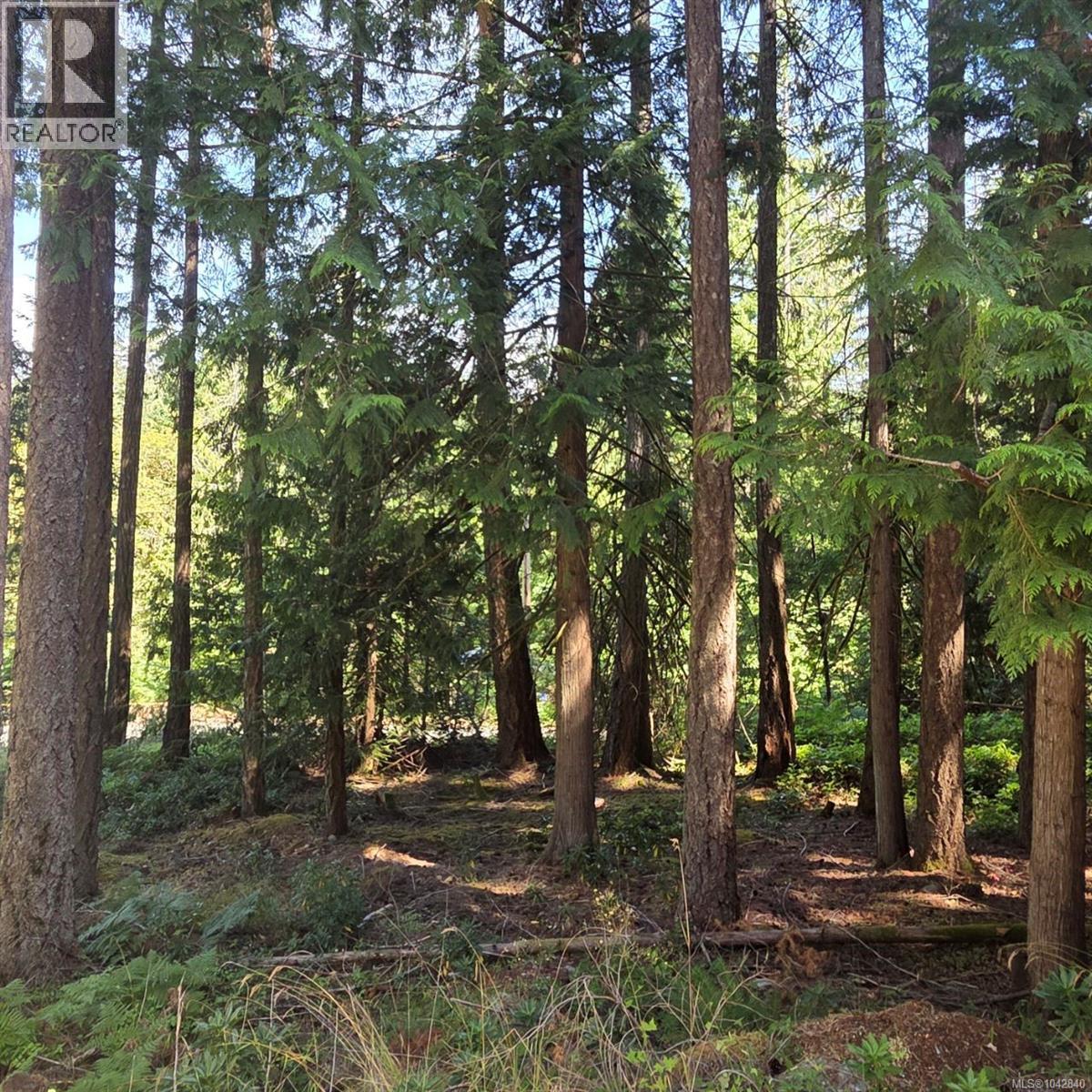 2903 Knappett Rd, Shawnigan Lake
