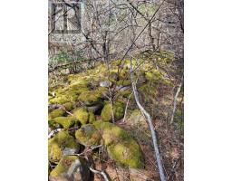 2999 Shore Road, Litchfield, NS B0S1A0 Photo 11