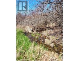 2999 Shore Road, Litchfield, NS B0S1A0 Photo 9