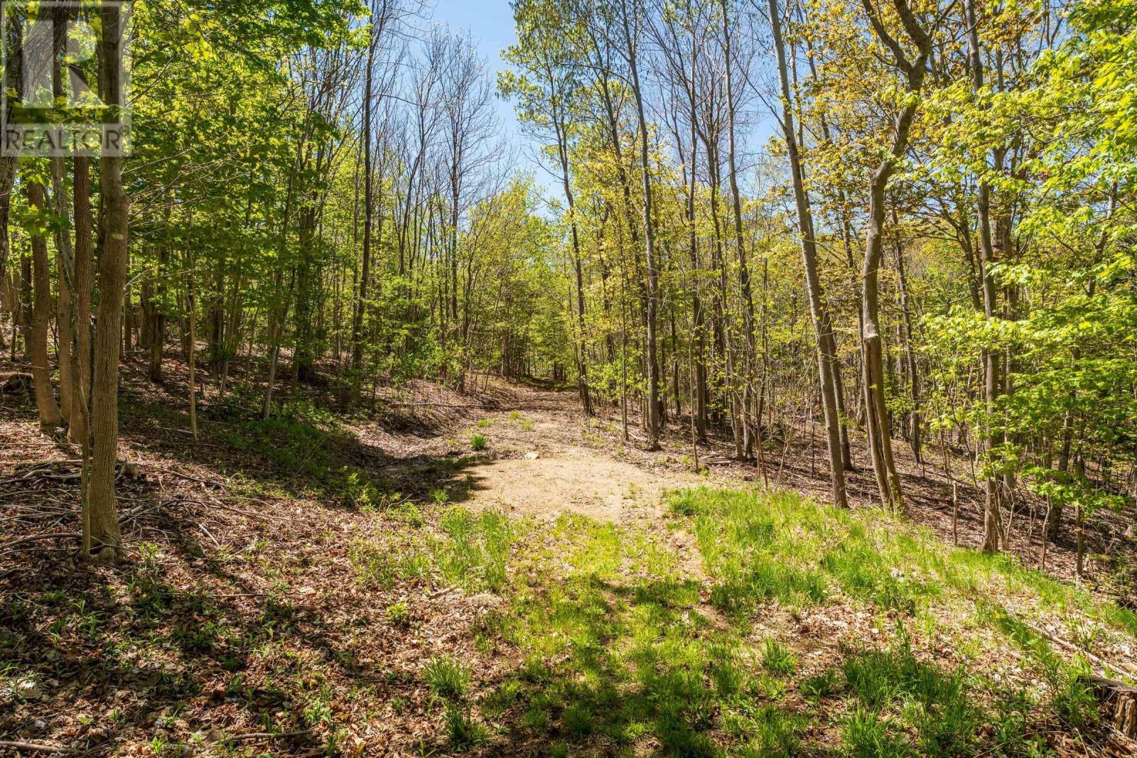 550 River Road - 13