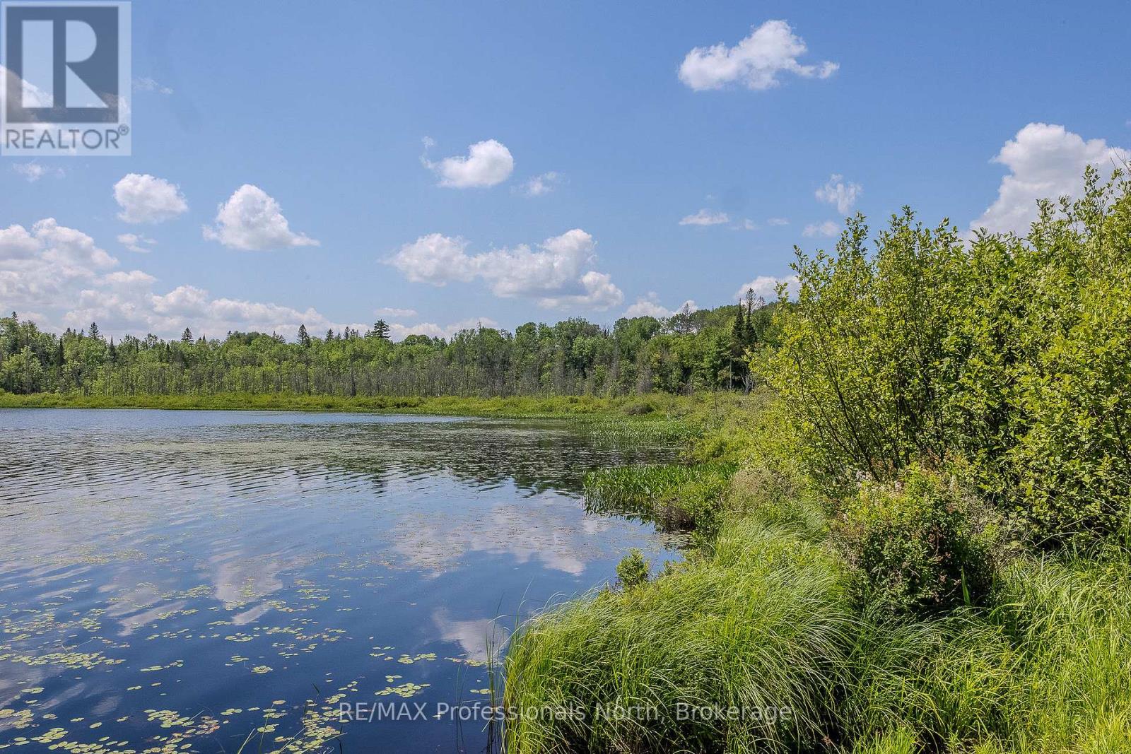 1367 PICKEREL AND JACK LAKE ROAD - Image 5