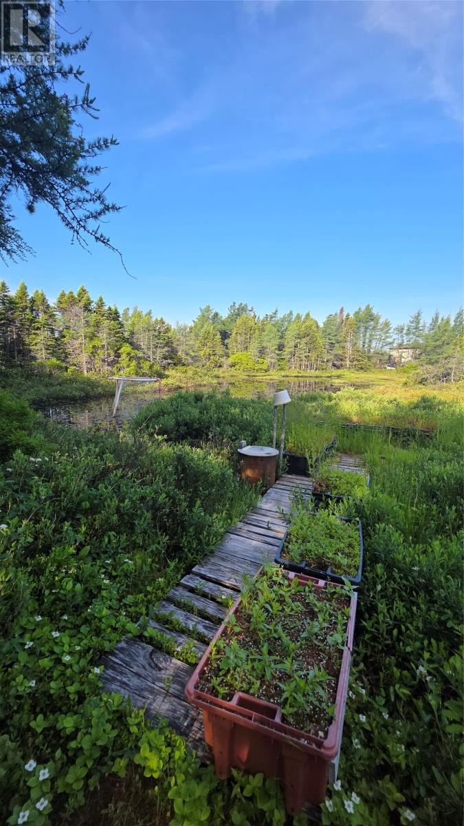 102 Rink Road - 11