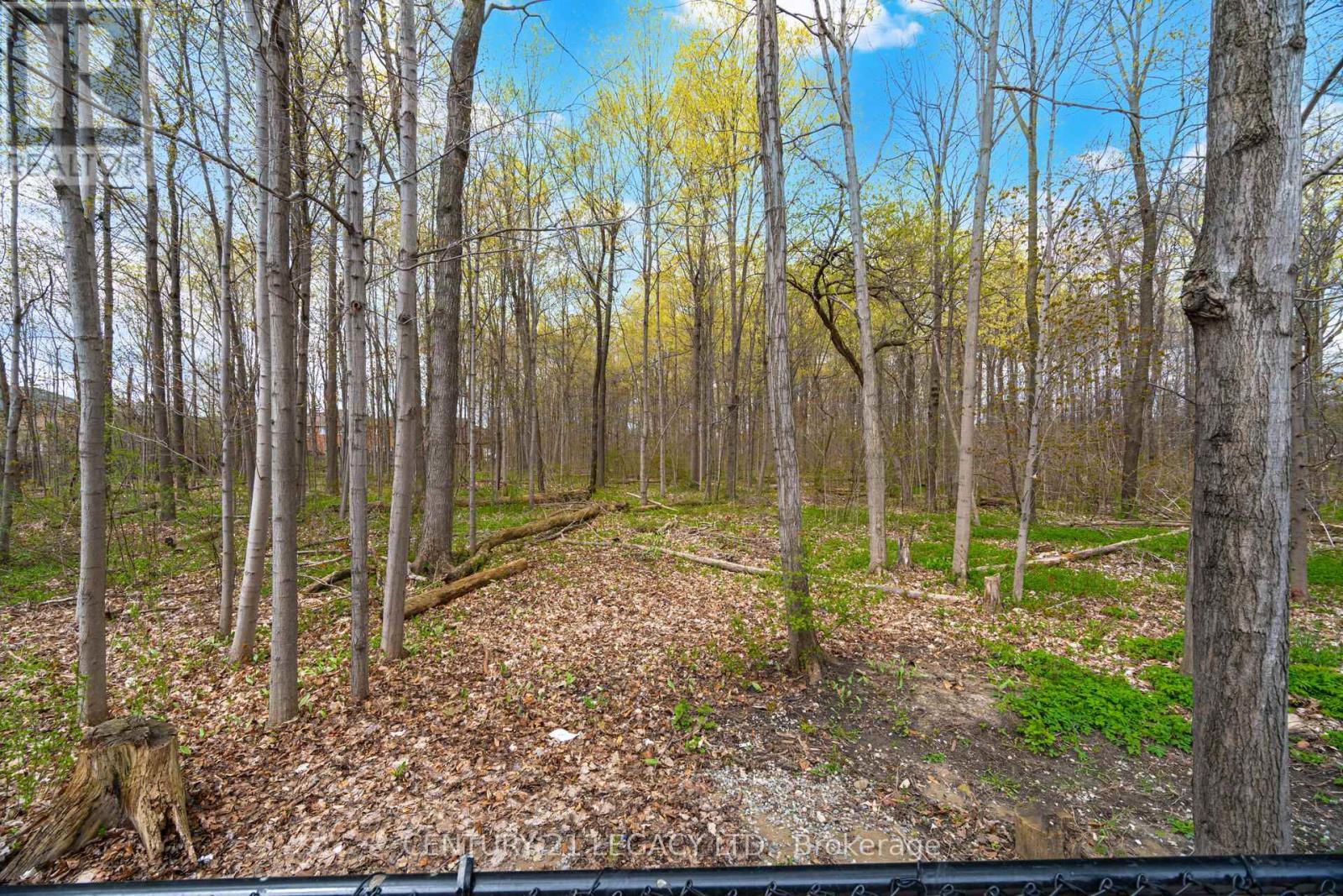 28 WILDFIRE ROAD - 47