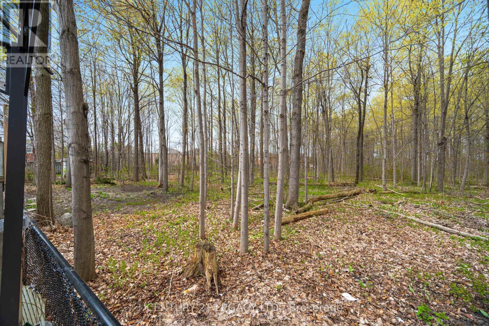 28 WILDFIRE ROAD - 48