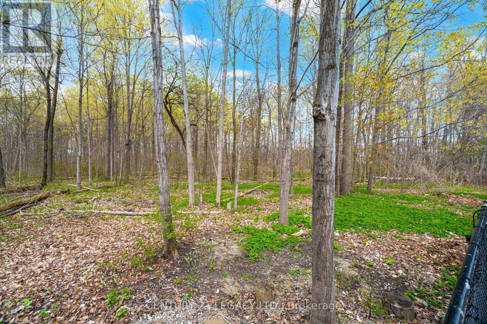 28 WILDFIRE ROAD - 49