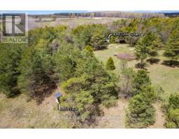 353814 Osprey Artemesia Townline, Grey Highlands, ON N0C1J0 Photo 10