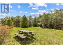 353814 Osprey Artemesia Townline, Grey Highlands, ON N0C1J0 Photo 7