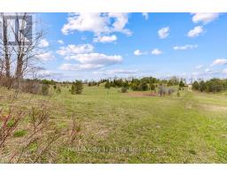 353814 Osprey Artemesia Townline, Grey Highlands, ON N0C1J0 Photo 8