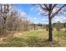 353814 Osprey Artemesia Townline, Grey Highlands, ON N0C1J0 Photo 9