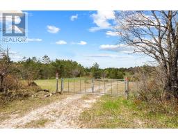 353814 Osprey Artemesia Townline, Grey Highlands, ON N0C1J0 Photo 6