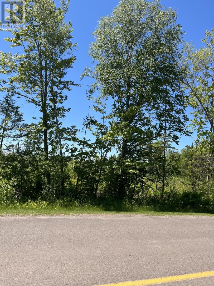 Lot 2026-2 Taranrum Road, Websters Corner — photo 3