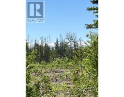 Lot 2026-2 Taranrum Road, Websters Corner, PE C1B3H6 Photo 16
