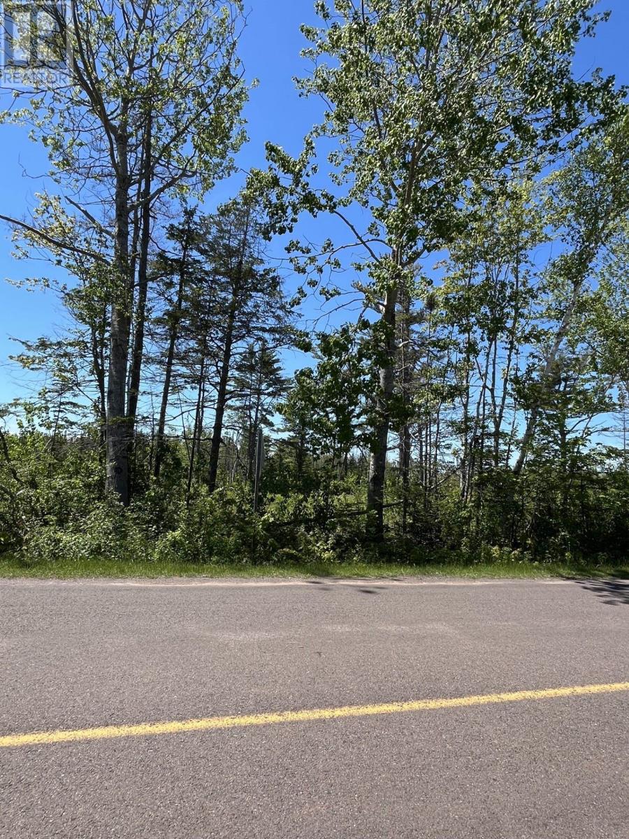 Lot 2026-2 Taranrum Road, Websters Corner — photo 2