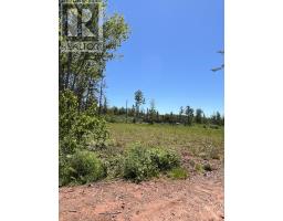 Lot 2026-2 Taranrum Road, Websters Corner, PE C1B3H6 Photo 17