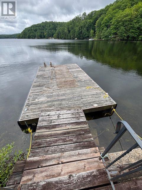 3040 HALIBURTON LAKE ROAD - 48