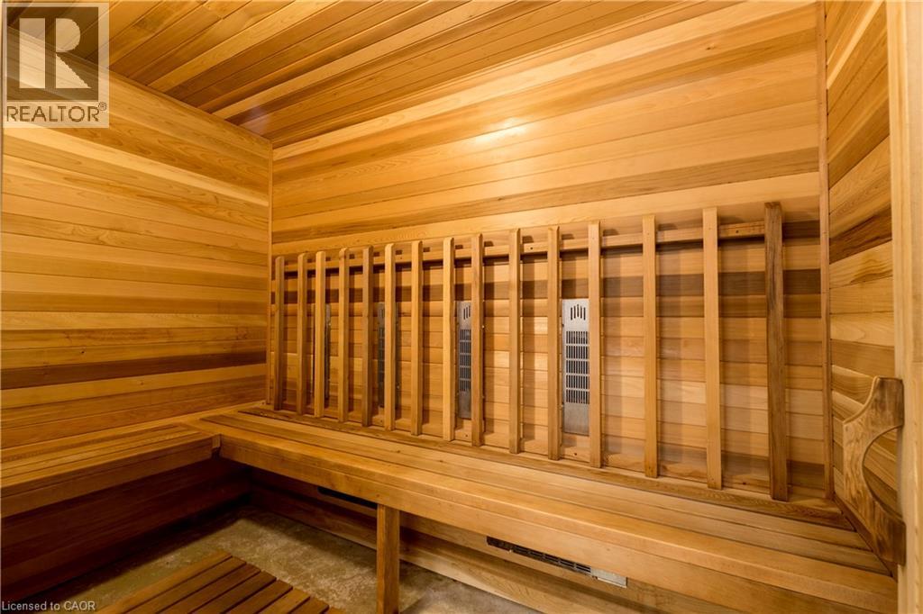 35 FATHER BIRO Trail - 6