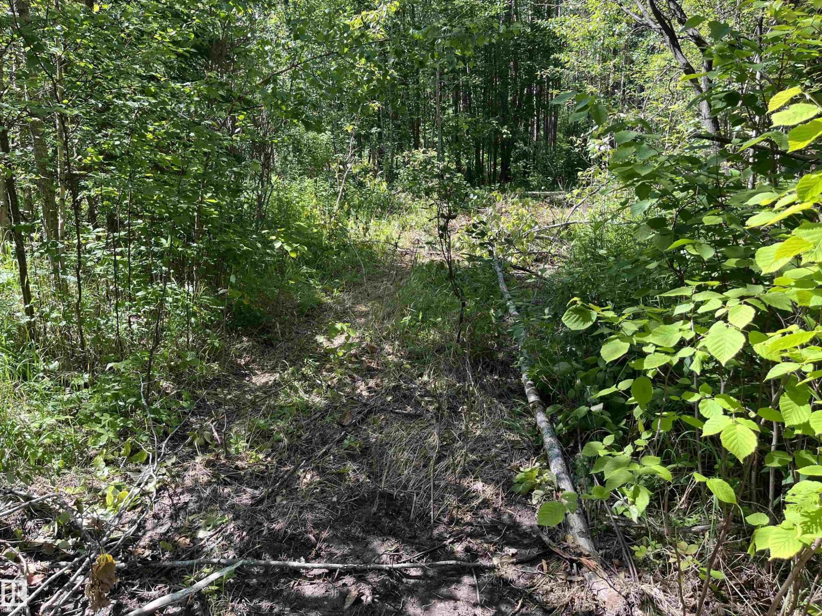 #39 53407 RGE ROAD 30 - photo 4