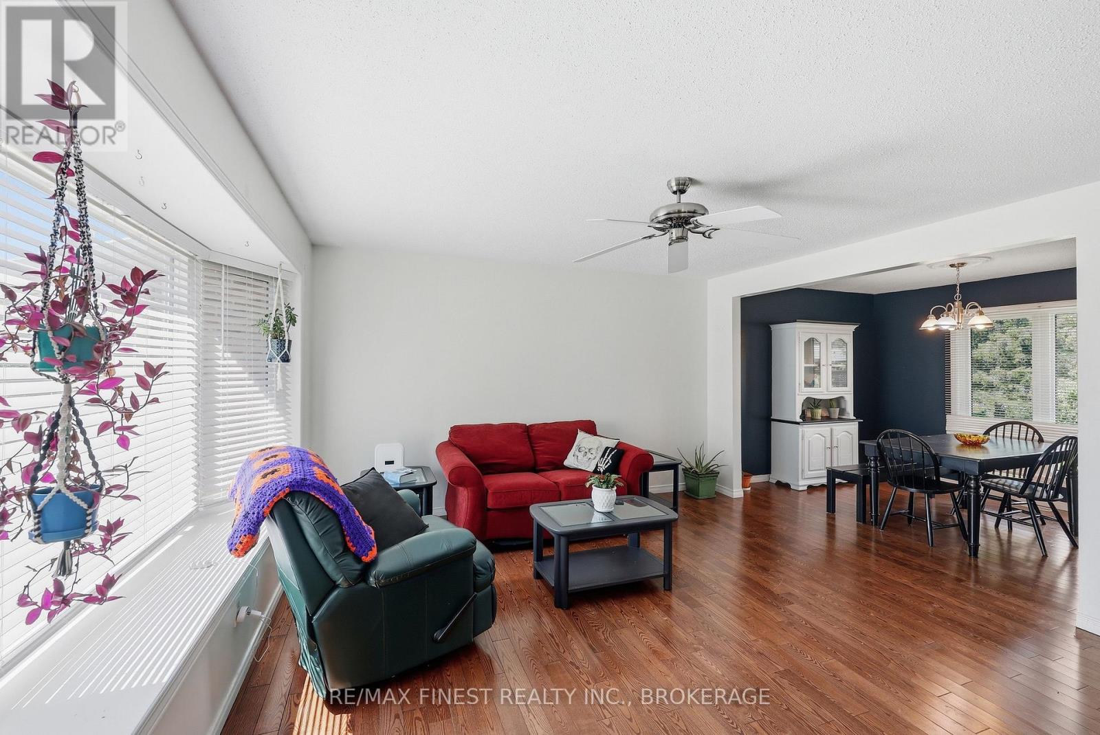 10 SHANE STREET - 21
