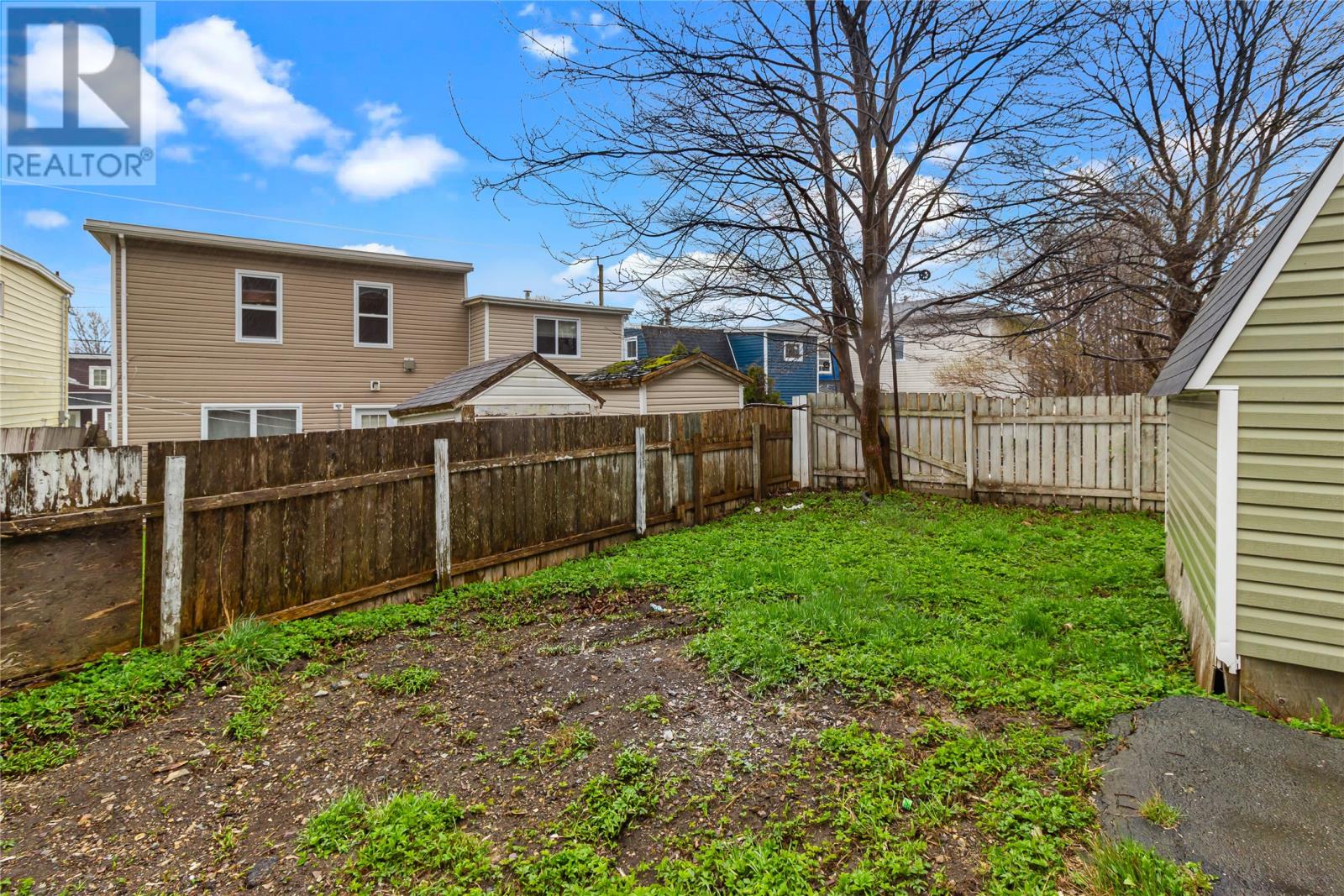 31 Campbell Avenue - 26