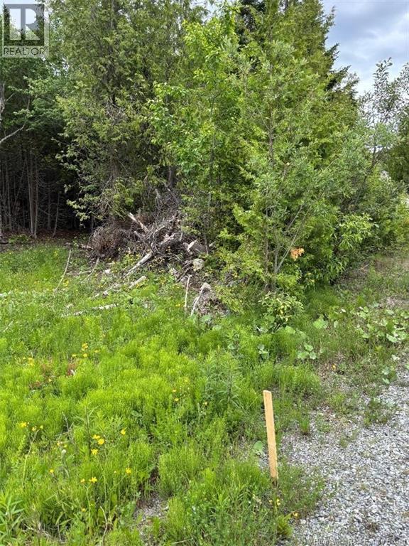 A-32 Deer Glen Drive, Saint John — photo 2