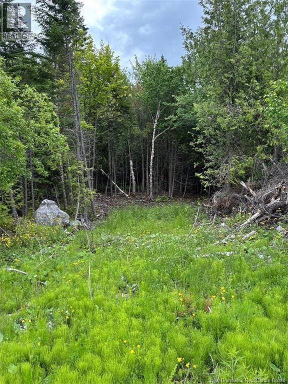 A-32 Deer Glen Drive, Saint John — photo 3