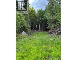 A-32 Deer Glen Drive, photo 3