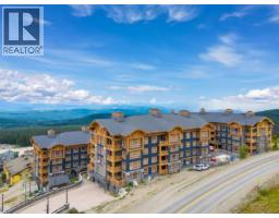 101 5300 Big White Road, Big White