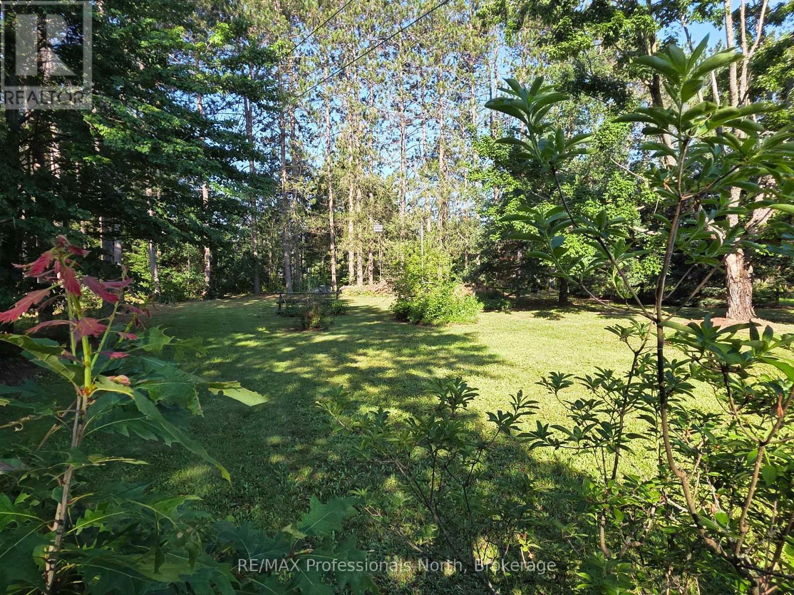 1024 LUTTERWORTH PINES ROAD - 11
