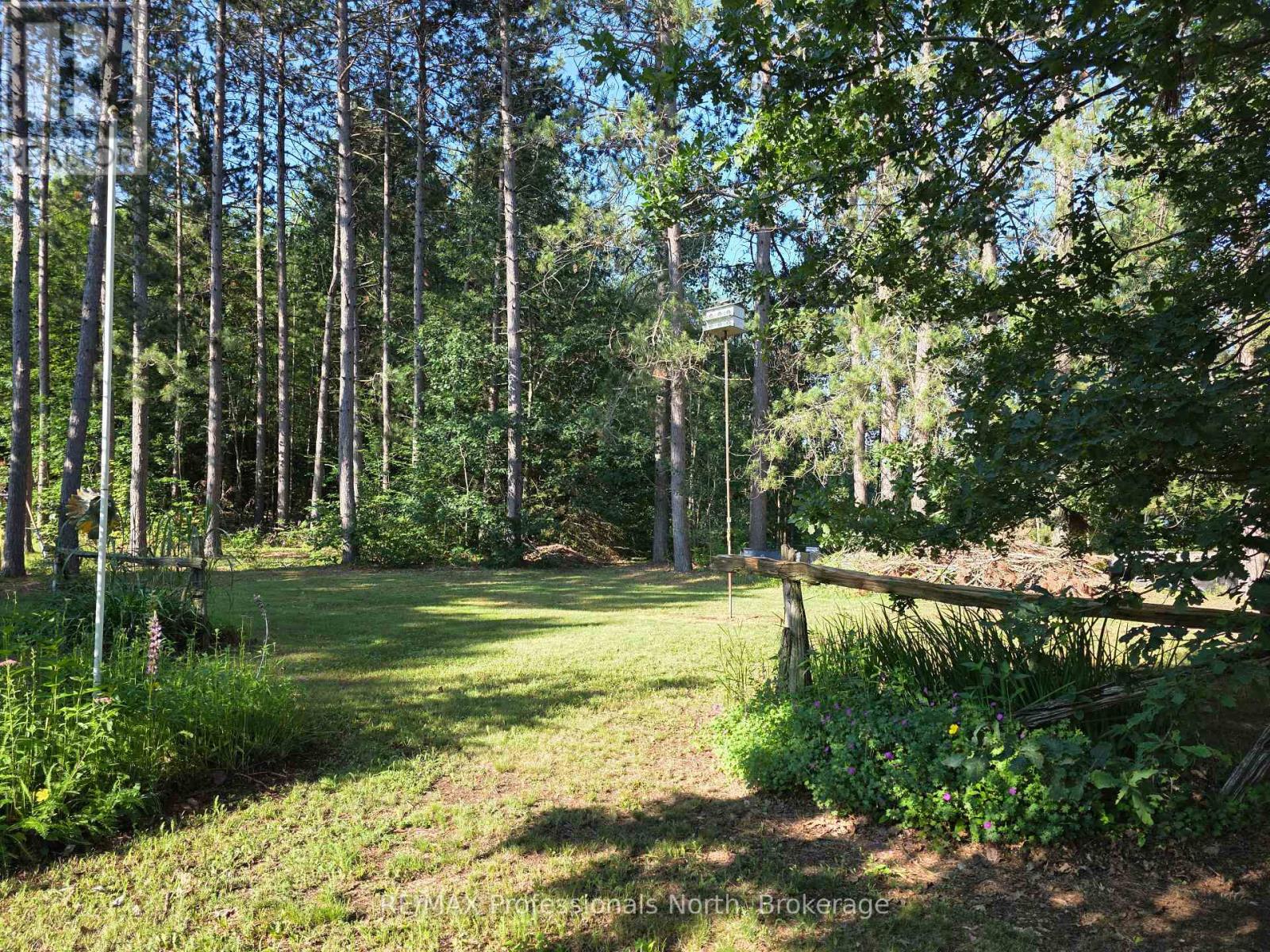 1024 LUTTERWORTH PINES ROAD - 6