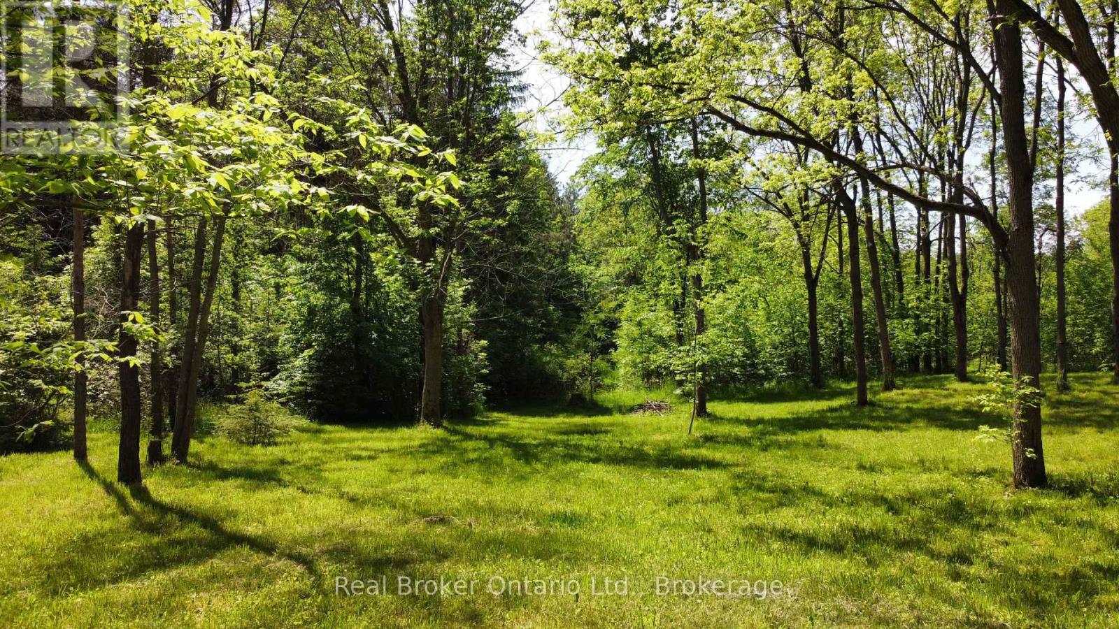 295 BRANT ROAD - 43
